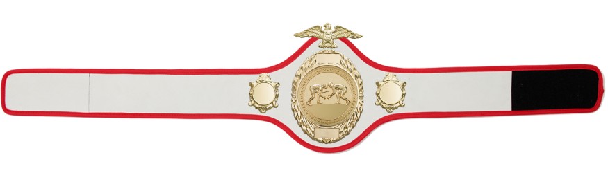 GRAPPLING CHAMPIONSHIP BELT - PRO288/G/GRAPG - 10 COLOURS